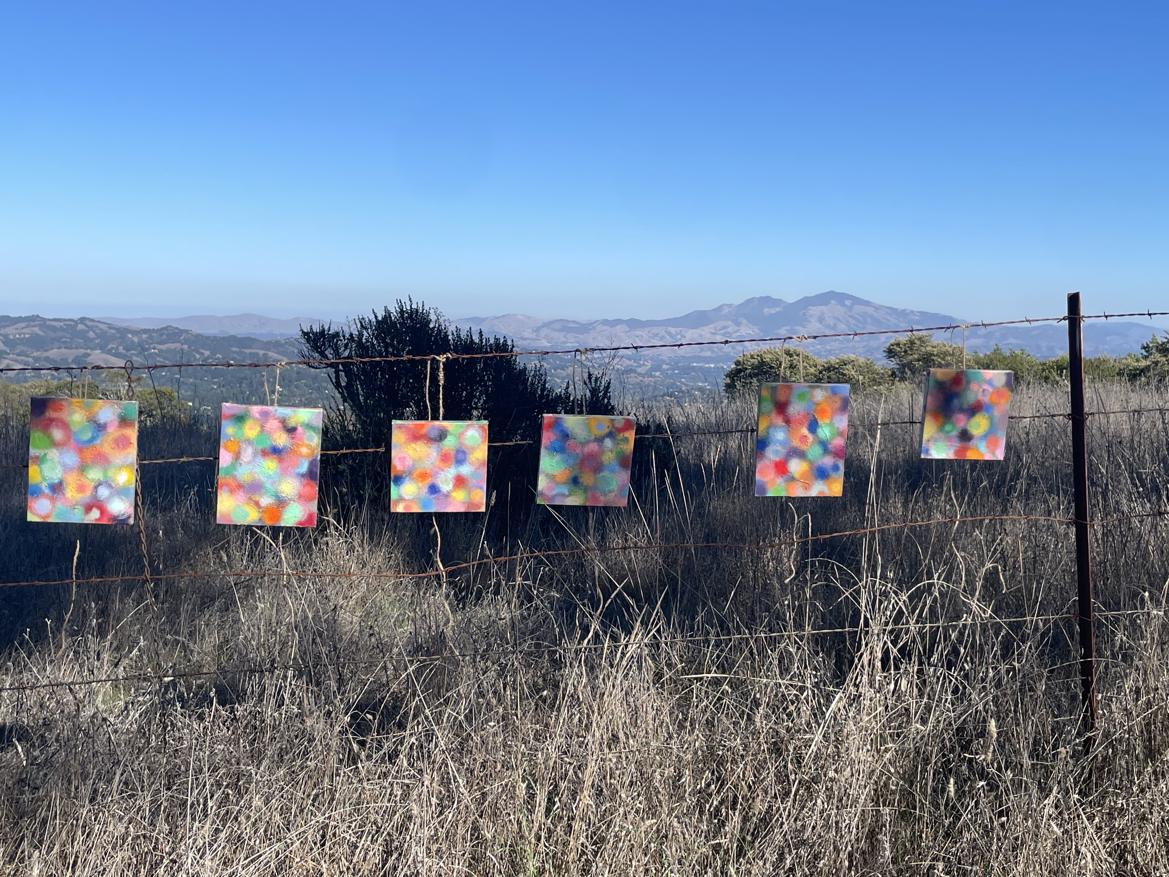 Apostles in Tilden 3